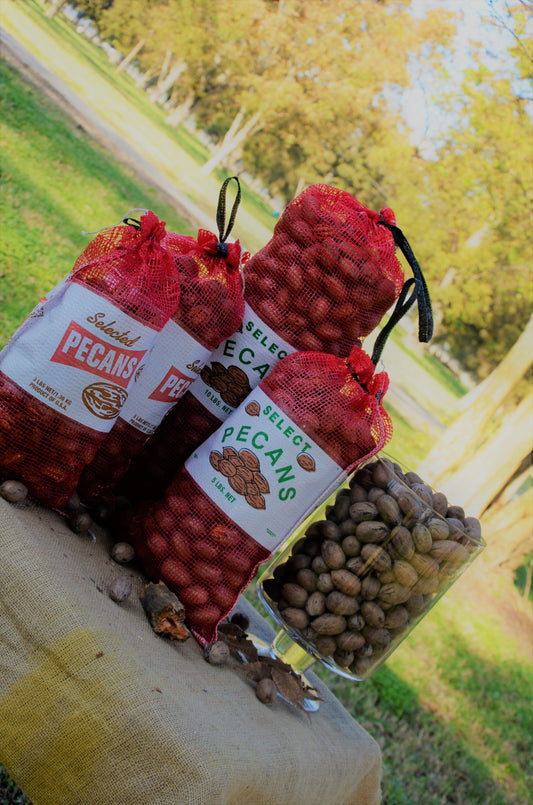 Large In-Shell Pecans ~ 10#